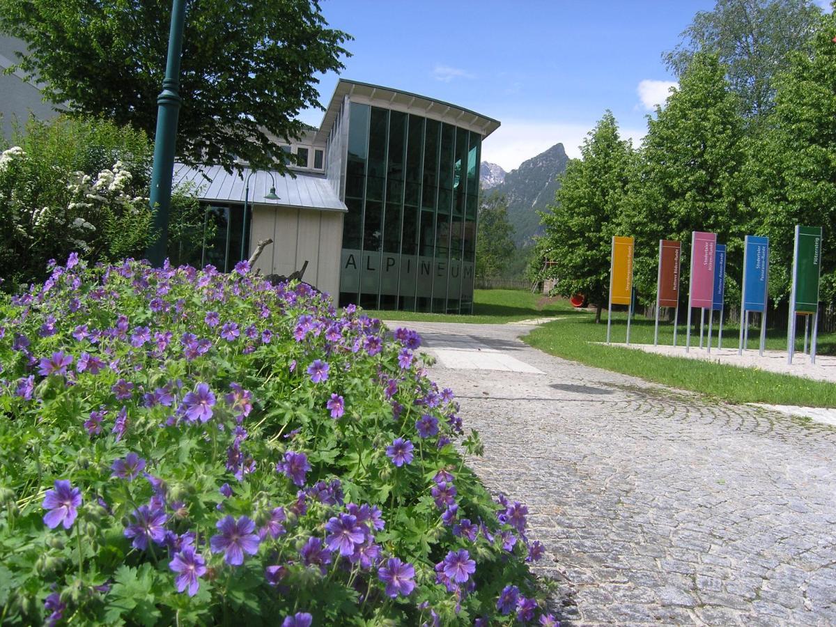 Gasthaus Berg-Panorama-Hof Sturmgut Hinterstoder Exterior foto